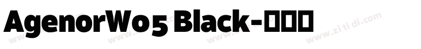 AgenorW05 Black字体转换
